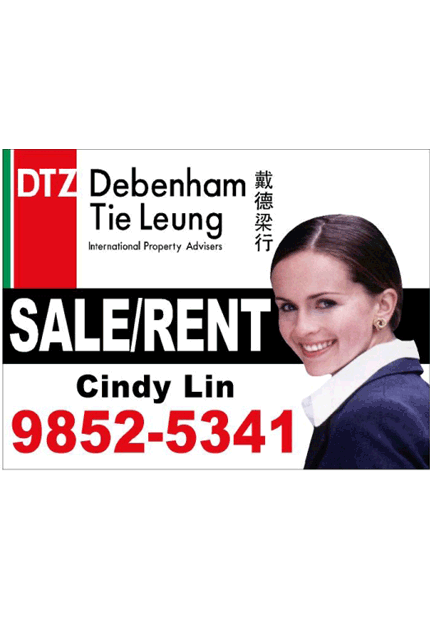 dtz_animated_banner.gif